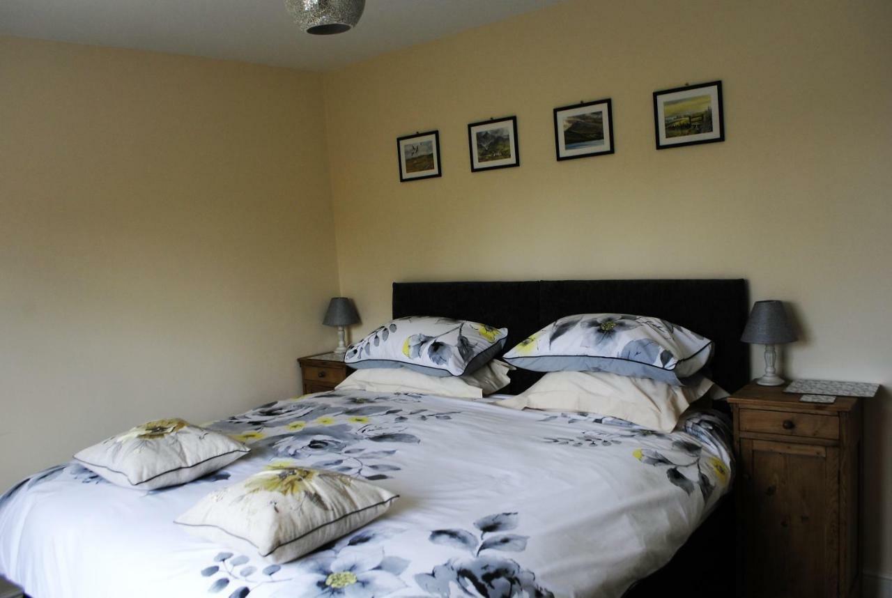 Bed and Breakfast Bro Dafydd Aberystwyth Esterno foto