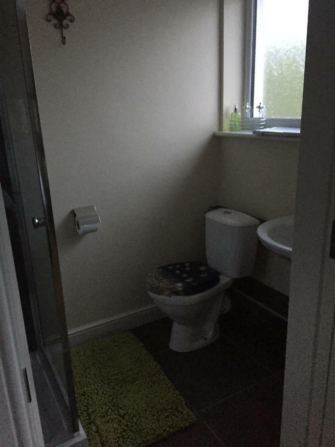 Bed and Breakfast Bro Dafydd Aberystwyth Esterno foto