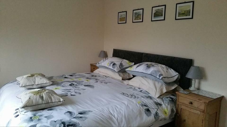 Bed and Breakfast Bro Dafydd Aberystwyth Esterno foto