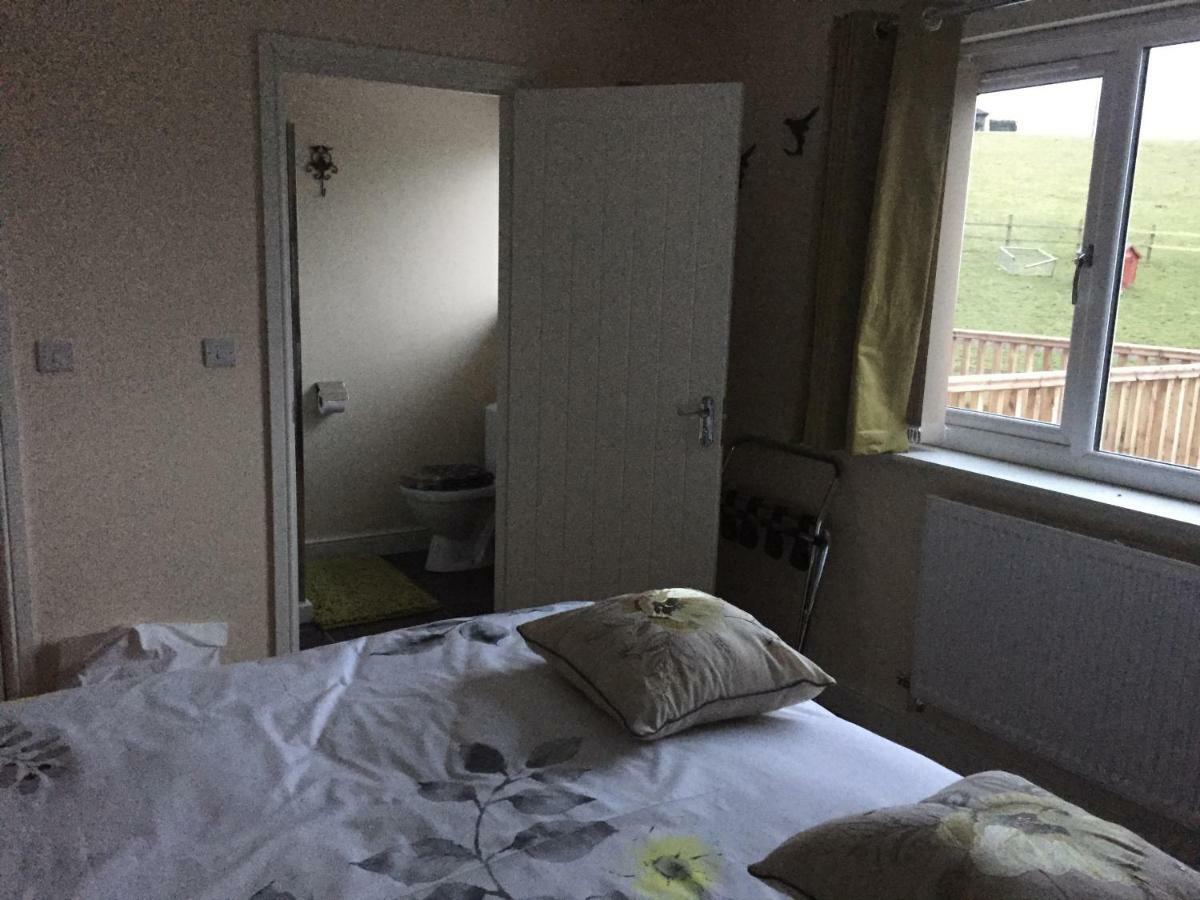 Bed and Breakfast Bro Dafydd Aberystwyth Esterno foto