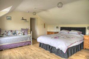Bed and Breakfast Bro Dafydd Aberystwyth Esterno foto